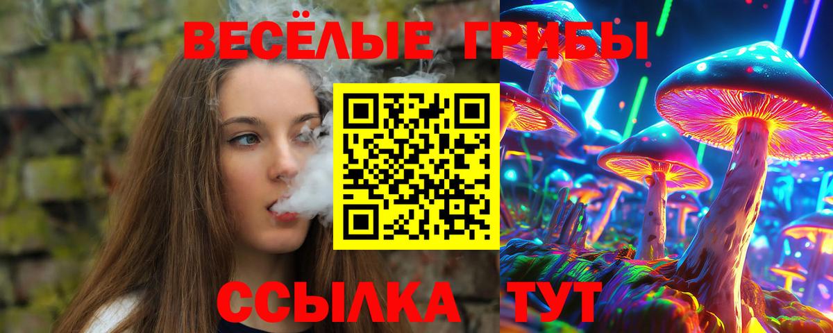 Галлюциногенные грибы Psilocybe  Псилоцибиновые грибы мицелий  Вход с VPN  Дальнереченск 