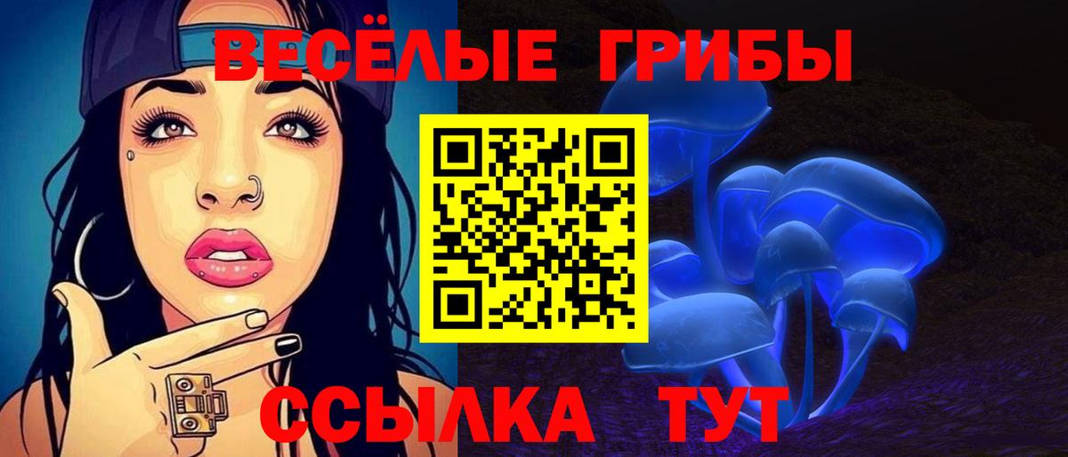 Галлюциногенные грибы Cubensis Дальнереченск